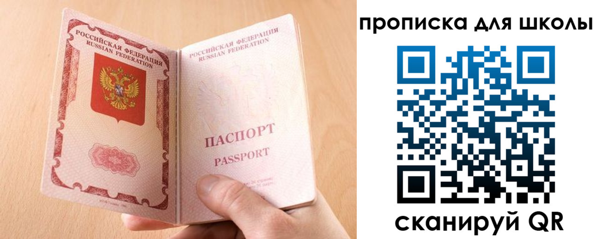прописка в Шебекино